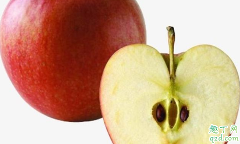 片紅蘋果與條紅蘋果哪個營養高 片紅蘋果和條紅蘋果怎么選擇5